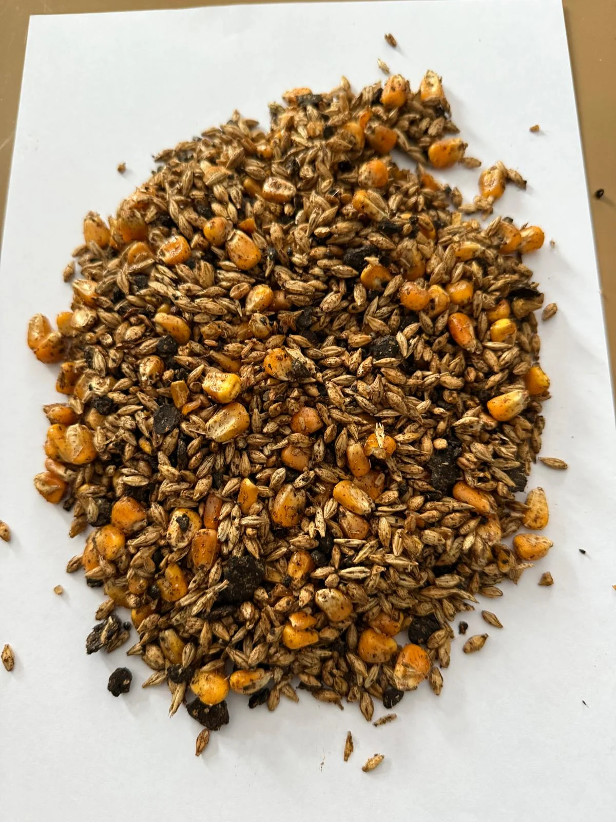 galeri_20260214_105704_a5020ddd6667cc597229